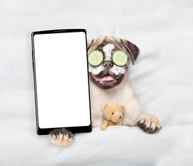 Wall Mural - Funny Pug puppy with cream on his face, with a piece of cucumber on his eyes relaxing on the bed at home and showing big smartphone with white blank screen. Top down view