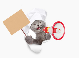 Poster - Laughing cat wearing chef's hat looking through the hole in white paper meowing into the megaphone and showing empty placard