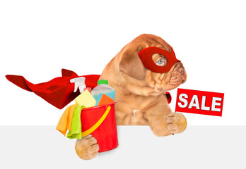 Poster - Funny Mastiff puppy wearing superhero costume holds bucket with washing fluids and  showing signboard with labeled 