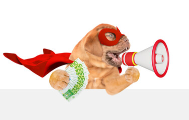 Poster - Funny Mastiff puppy wearing superhero costume holds Euro and barking into the megaphone above empty white banner.  Isolated on white background