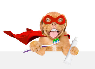 Poster - Happy Mastiff puppy with big funny teeth wearing superhero costume holds toothbrush in it paw above empty white banner. isolated on white background