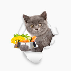 Aufkleber - Cute kitten holds bowl of vegetables  and looks through the hole in white paper