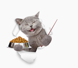 Aufkleber - Happy cat holding bowl of dry pets food looking through the hole in white paper and pointing away on empty space