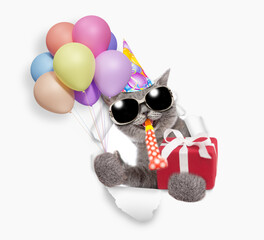 Aufkleber - Happy cat wearing party cap blows in party horn and holds balloons with gift box and looks through the hole in white paper