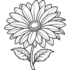 Gerbera Daisy flower outline illustration coloring book page design, Gerbera Daisy flower black and white line art drawing coloring book pages for children and adults
