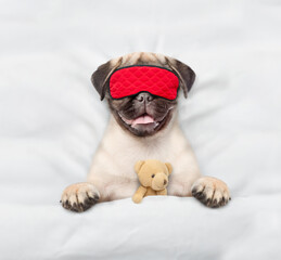 Aufkleber - jack Pug puppy wearing sleeping mask sleeps with toy bear under white blanket on a bed at home. Top down view