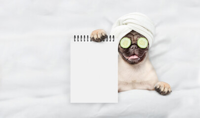 Leinwandbilder - Funny Pug puppy with towel on it head and with a piece of cucumber on it eyes relaxing on the bed at home and showing empty list. Top down view. Empty space for text