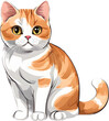 © MondSTUDIO - Calico British Shorthair Lucky Cat PNG