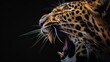 Macro shot of a leopard's mouth against a black background