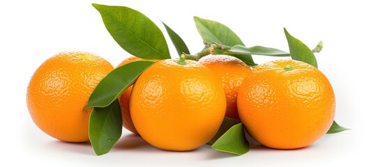 Poster - Tangerines on a white background isolated copy space top view close up