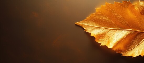 Fototapete - shiny yellow leaf gold foil texture background. copy space available