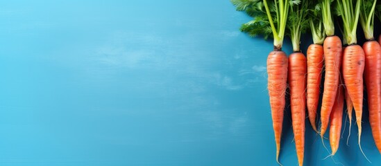 Poster - Organic food Red carrots in the on bright blue background Top view copy space Harvest