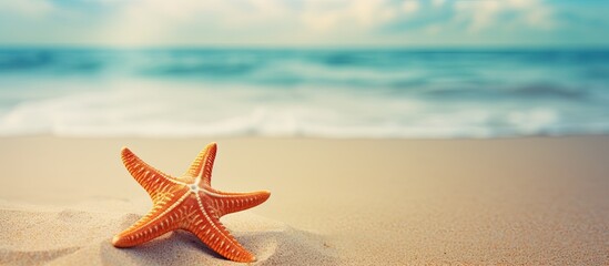 Sticker - Starfish in the beach sand copy space Exotic Wallpaper Detail of a Vacation