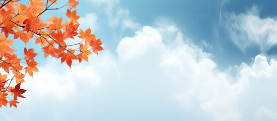 Poster - fall leaves against sky with clouds. copy space available