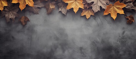 Poster - Autumn leaves on a gray background horizontal space for text autumn leaves pattern. copy space available