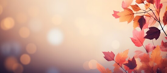 Poster - Bright autumn leaves on a light background. copy space available