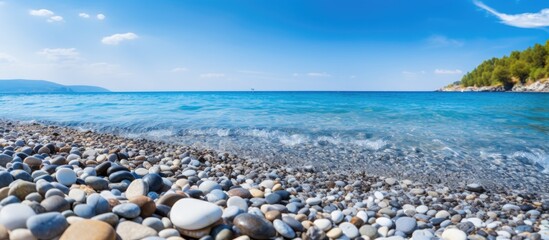 Poster - pebble beach natural background copy space