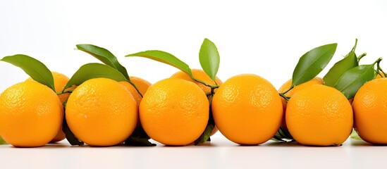 Poster - Tangerines on a white background isolated copy space top view close up