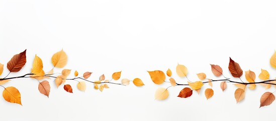 Poster - dry leaves on white background. copy space available