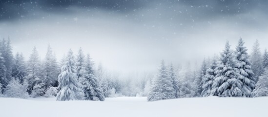 Poster - Natural background fir branches snowfall and border Copy space