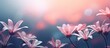 Beautiful flower background wallpaper made with color filters effect. copy space available