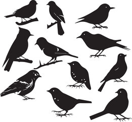 Sticker - seamless pattern with birds