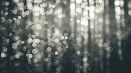 Canvas Print - Blurred bokeh background of gray black and white tones in a natural forest