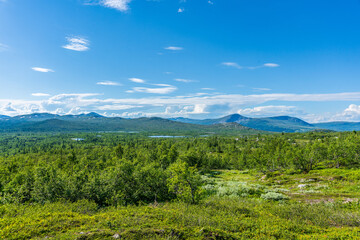 Wall Mural - Beautiful landscape scene from the vastness of the Swedish highlands