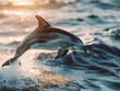 a Dolphin jumping out of the water at sunrise, 3/4 view in an Aquatic nature-themed, high-detailed photographic illustration in JPG. Generative ai