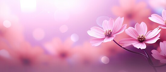 A pink floral abstract background with a blurred effect is shown in the copy space image