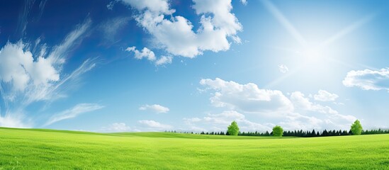 A sunny day creates a picturesque landscape with a green lawn stretching towards the sky leaving ample copy space