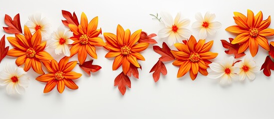 Top view of a fall themed flat lay with beautiful orange flowers on a white background creating an autumn inspired composition with ample copy space