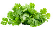 © Emma - fresh coriander leaves isolated on transparent background
