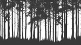 Winter forest fir trees spruce silhouette vector image,Pine forest silhouette wood tree background .