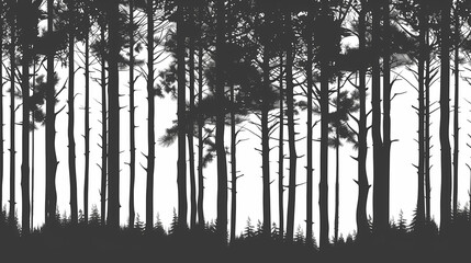 winter forest fir trees spruce silhouette vector image,pine forest silhouette wood tree background .
