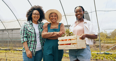 Wall Mural - Farm, agriculture or face of women with basket of vegetables, harvest or fresh produce. Farming sustainability, greenhouse or happy farmers with teamwork or crate of organic, natural and healthy food