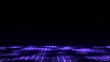 © Liudmyla - Abstract technology perspective grid. Detailed wireframe landscape with lines on black background. Digital space with mesh. 3d rendering.