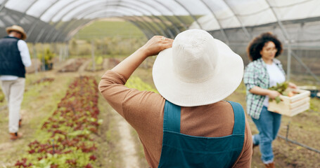 Wall Mural - Agriculture, greenhouse farming and back of woman with sustainable business in nature for quality check. Industry, plant or behind female farmer outdoor with greenery, leaf or agro growth inspection