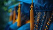 A close-up view of the Ukrainian graduation cap with a tassel. Suitable for educational and celebratory themes