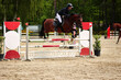Jumping horse, horse, with rider in the jumping course at a tournament.