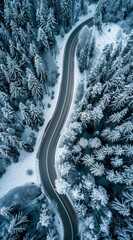 Wall Mural - Aerial view of the winding road through an alpine forest in winter, covered with snow and surrounded by pine trees.