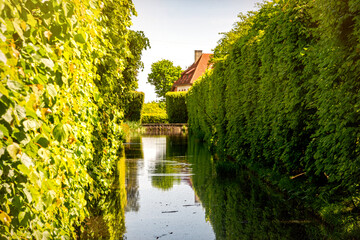 Canvas Print - Pond in an old green park	