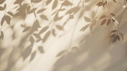 Poster - Minimalistic abstract gentle light beige background for product presentation with light andand intricate shadow from the window and vegetation on wall : Generative AI