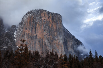 Wall Mural - Winter Storm Clearing over El Capitan in the Morning, Yosemite National Park, California