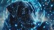 © Rodica - A lost pet with a biometrically generated image, emphasizing the use of technology in finding missing animals. Dog immersed in a vibrant digital interface