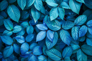 Wall Mural - Bush with unique blue leaves and a conceptual design