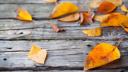 Aufkleber - Autumn fallen leaves on the wood : Generative AI