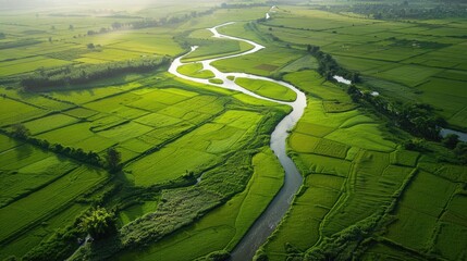 Wall Mural - Picturesque aerial view of a meandering river flowing through lush green fields