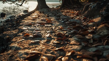 Wall Mural -  A path adjacent to a body of water, adorned with leaves on the ground, and a tree as its backdrop