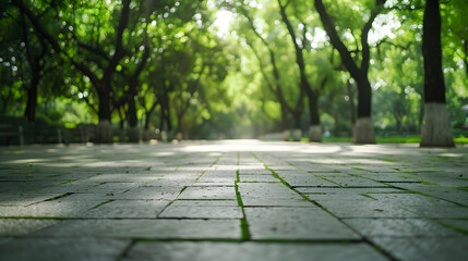 Poster - Empty square floor and green woods natural scenery in city park : Generative AI